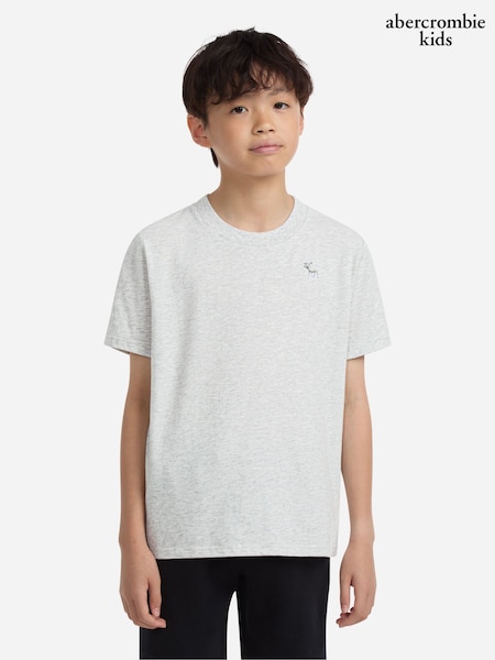 Pilka - Abercrombie & Fitch Essential T-shirt