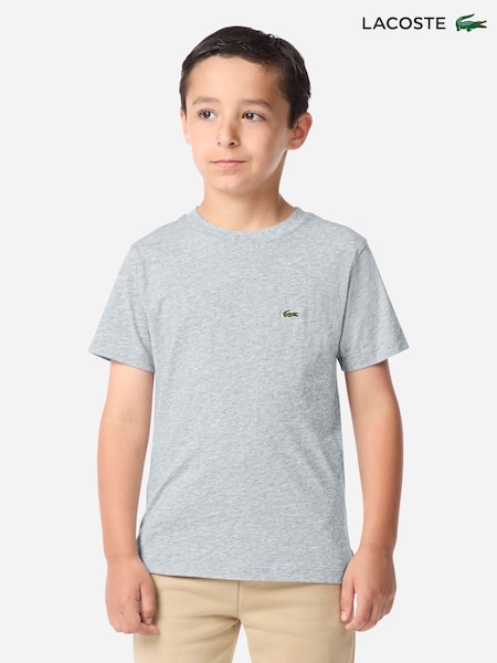 Grey - Lacoste Core T-shirt