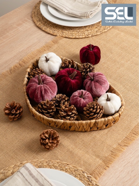 Scottish Everlastings Ltd Decorative Velvet Pumpkins & Pinecones With Tray