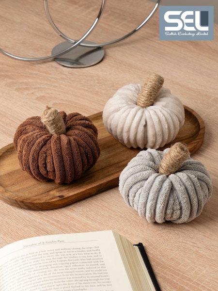 Scottish Everlastings Ltd Cord Pumpkins Decorative Set