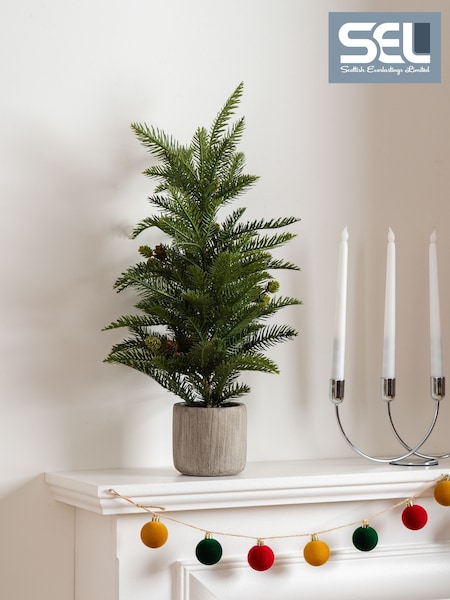 Scottish Everlastings Ltd Artificial Christmas Pine Tree In Cement Pot
