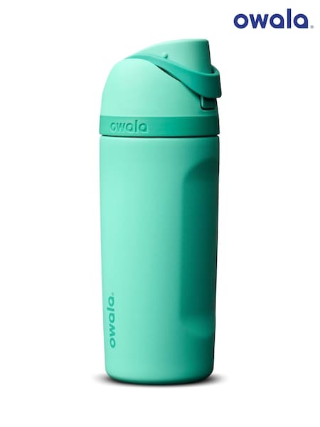 Owala Freesip® 16oz Stainless Steel Water Bottle
