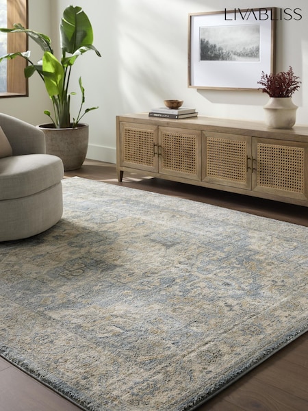 Livabliss Avellino Vintage Traditional Boho High Pile Rug