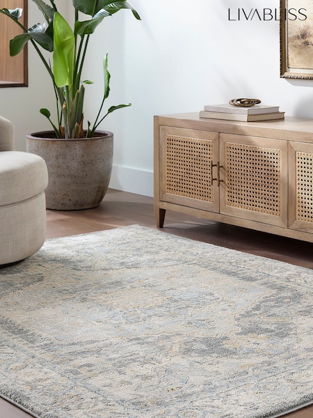Livabliss Avellino Vintage Traditional Boho High Pile Rug