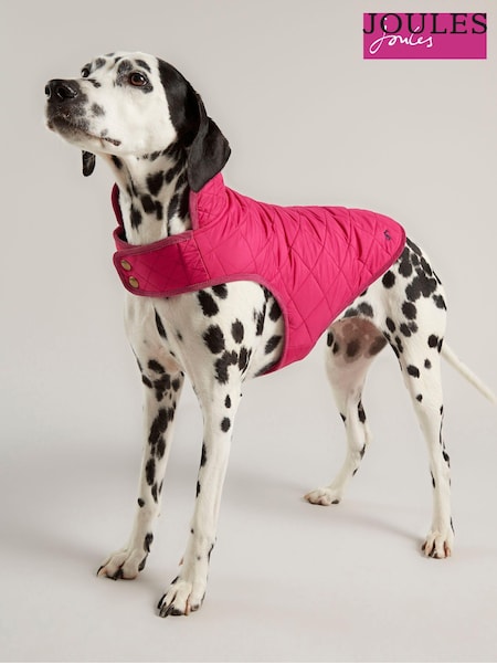 Joules Quilted Rain Dog Coat (775374) | 19 € - 28 €