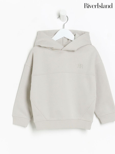 River Island Grey 100% Cotton Essentials Boys Hoodie (777290) | €19