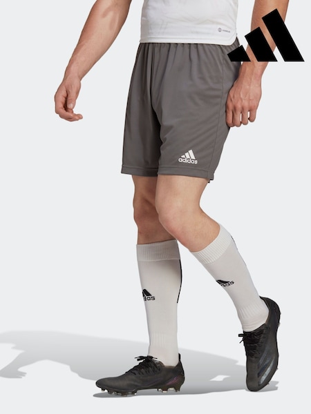 Серый - adidas Entrada Shorts (790845) | €20