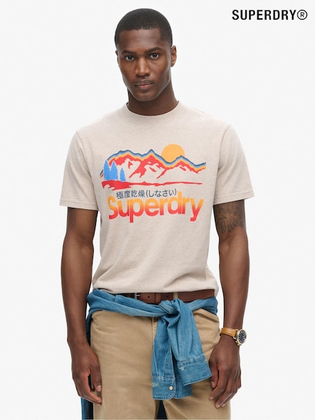 Телесный - Superdry Great Outdoors Graphic T-Shirt (790915) | €46