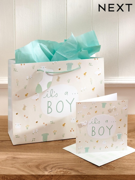 Soft Teal Baby Icons Gift Bag and Card Set (792292) | €6