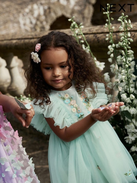Pale Blue Embroidered Mesh Party Dress (3mths-10yrs) (796437) | € 9 - € 11