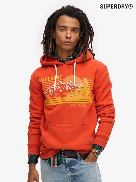 іржа помаранчева - Superdry Outdoor Graphic у смужку худі (797498) | 3 605 грн