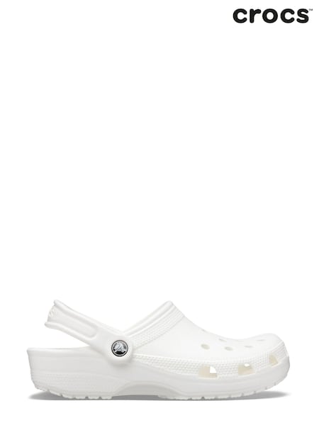 Crocs White Adults Classic Clogs (810838) | kr714
