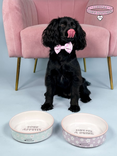 Pawsome Paws Boutique Set of 2 Pink/Blue Ceramic Pet Bowls (817909) | €40