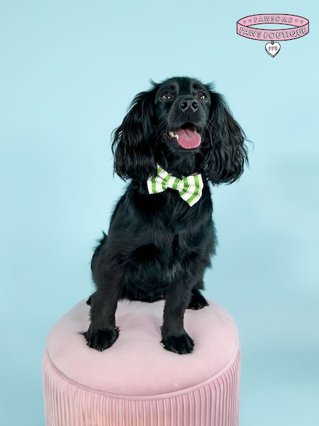 Pawsome Paws Boutique Green Dog Poo Bag Holder And Bow Tie Set (823696) | €22