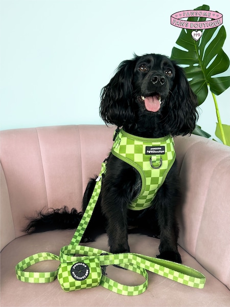 Pawsome Paws Boutique Dark Green Adjustable Dog Harness (823867) | €35