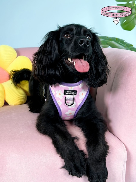 Pawsome Paws Boutique Pale Pink Adjustable Dog Harness (824076) | €35