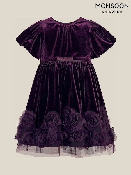 Purple - Monsoon Baby Adelyn Rose Appliqué Velvet Party Dress