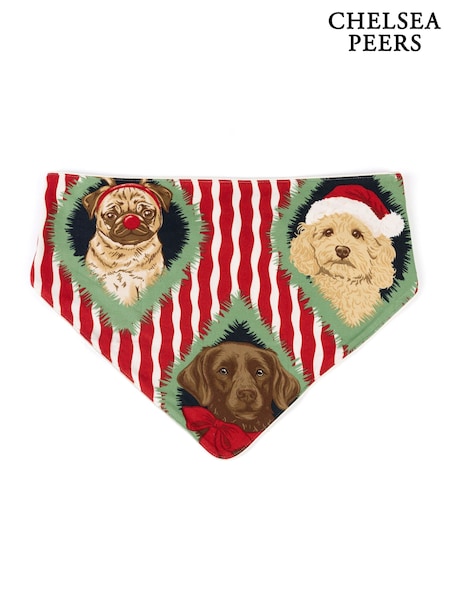 Pañuelo para el cuello con estampado de rayas de Chelsea Peers Pets Navidad Chip & Friends