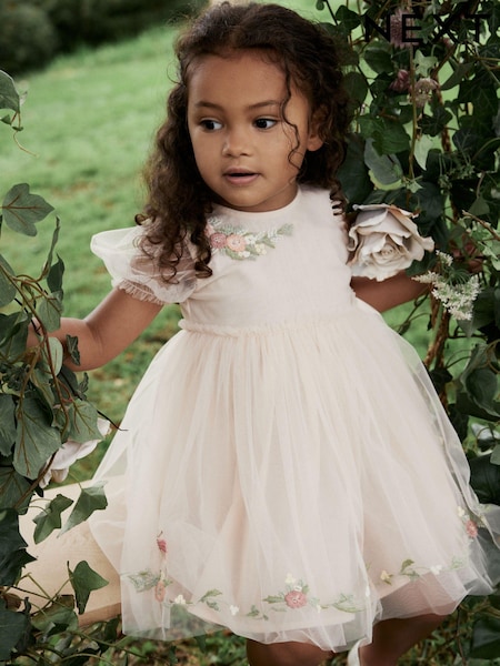Pink Embroidered Mesh Party Dress (3mths-10yrs) (879470) | € 18 - € 24