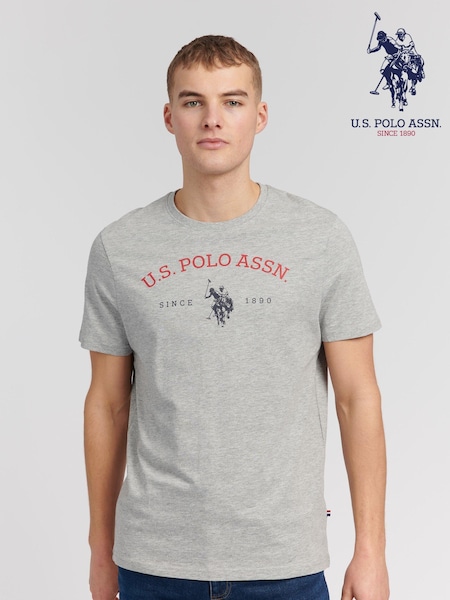 U.S. Polo Assn. Vintage Grey Heather Graphic T-Shirt (943342) | €40