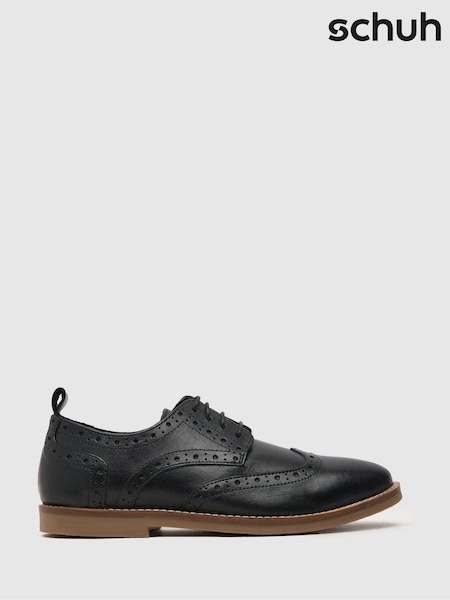 Schuh Law Brogue Shoes (A36183) | 240 zł
