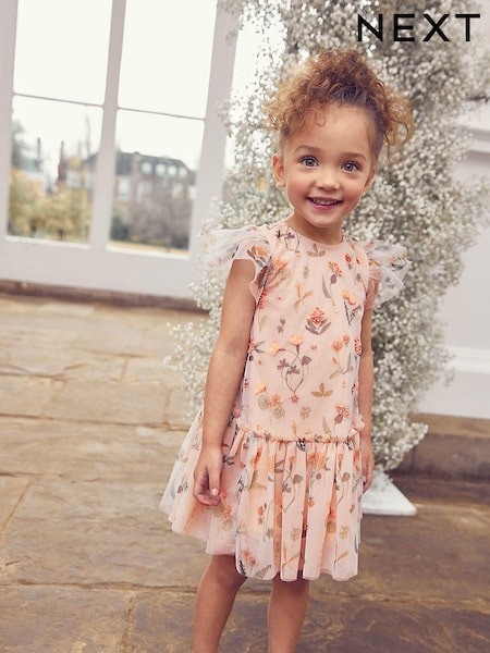 Champagne Sequin Embellished Mesh Party Dress (3mths-7yrs) (A45108) | €10 - €12