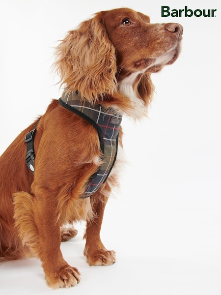 Barbour® Classic Tartan Dog Harness (A47509) | €39