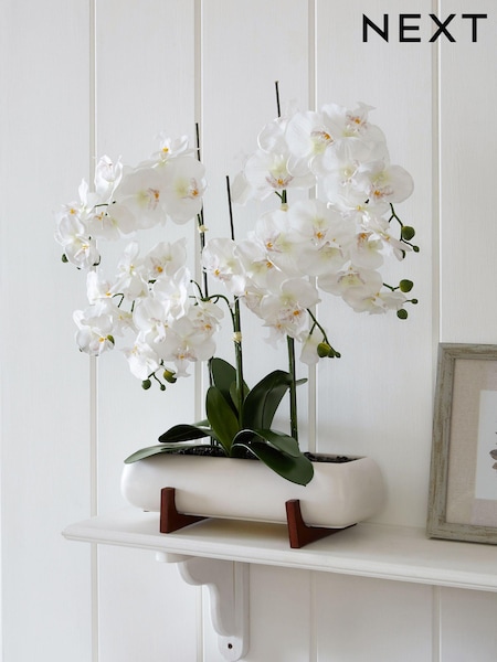 White Extra Large Real Touch Orchid In White Pot With Wooden Stand (A81992) | SGD 126