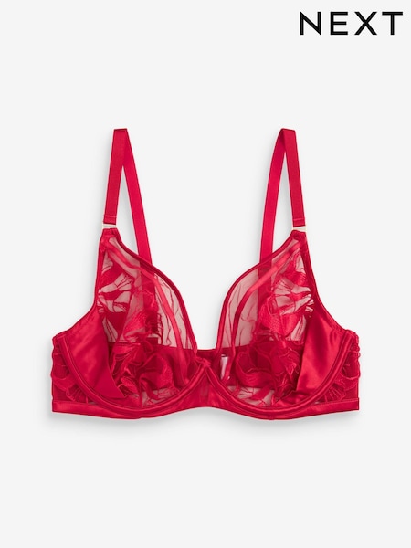 Red DD+ Non Pad Plunge Embroidered Bra (A89196) | €25
