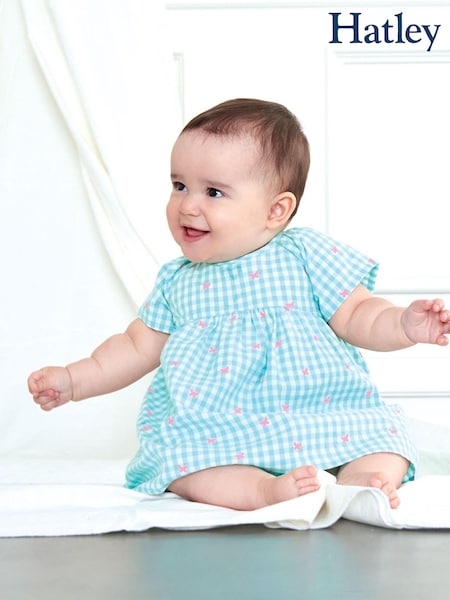 Hatley Baby Blue Butterfly Gingham Woven Dress (A90808) | €16