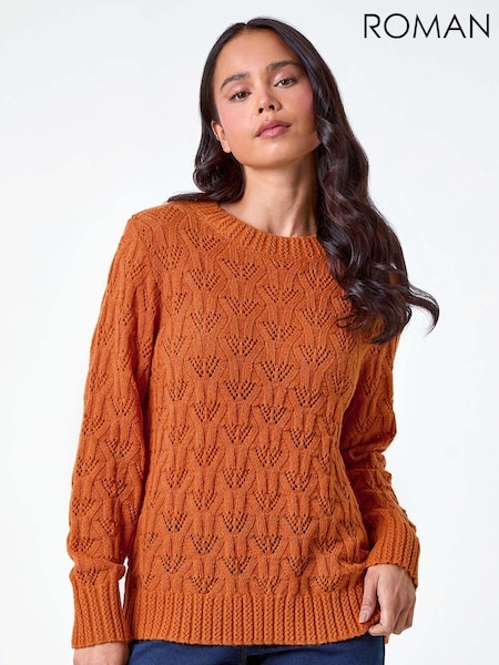Roman Orange Petite Crochet Knit Jumper (AB7898) | 2,103 UAH
