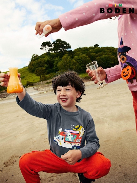 Boden Grey Halloween Appliqué 100% Cotton T-Shirt (AC8408) | AED55 - AED61