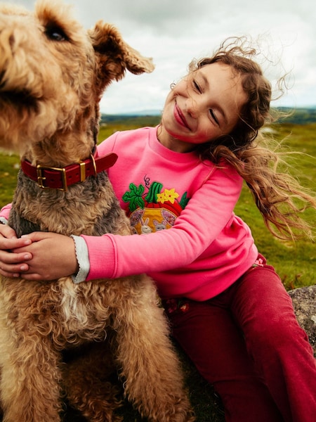 Boden Pink Pumpkin Appliqué Sweatshirt (AC8542) | €31 - €37