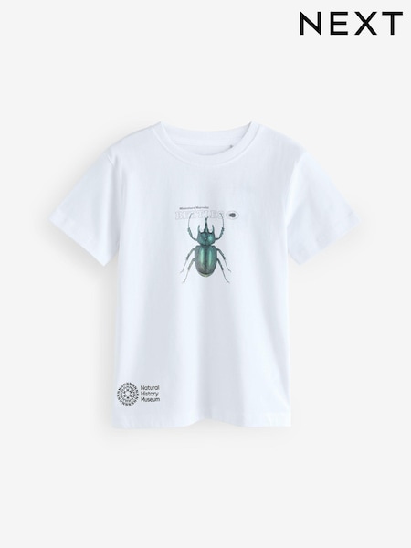 bela Hrošči - Natural History Museum Short Sleeve 100% Cotton T-Shirt (3-16yrs) (AD1730) | € 14 - € 17