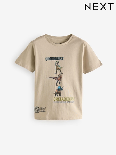 Stone Natural History Museum Short Sleeve 100% Cotton T-Shirt (3-16yrs) (AD1732) | €7.50 - €9