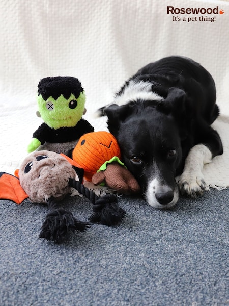 Rosewood Halloween Dog Toy Bundle Set of 3 (AF7130) | €28