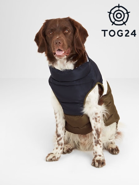 Tog 24 Green Fetch Dog Coat (AH5679) | AED105 - AED140