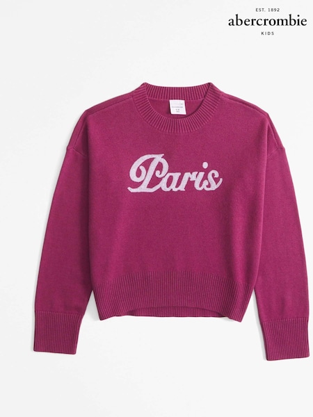 Abercrombie & Fitch Pink Knitted Crew Neck Jumper (AH5772) | 31 € - 33 €