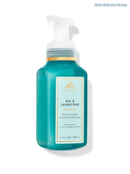 Bath & Body Works Gentle and Clean Foaming Hand Soap (AH7582) | €15.50