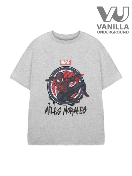 Vanilla Underground Light Grey Boys Marvel Spiderman Licensed 100% Cotton T-Shirt (AJ6715) | €20