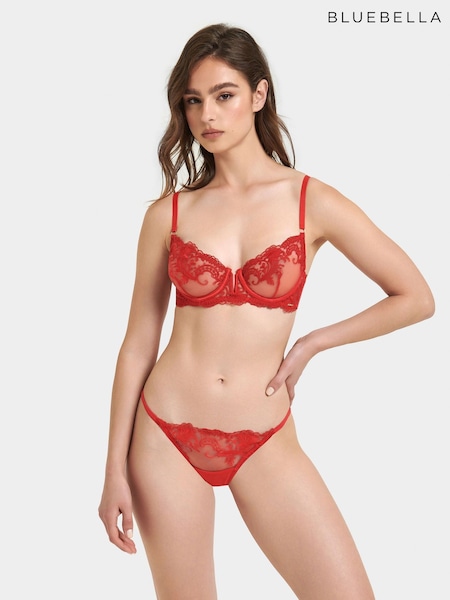 Bluebella Marseille Embroidered Mesh Knickers (AJ9615) | €24