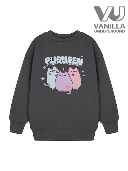 Vanilla Underground Grey Girls Pusheen 100% Cotton Licensed Sweatshirt (AJ9630) | €27