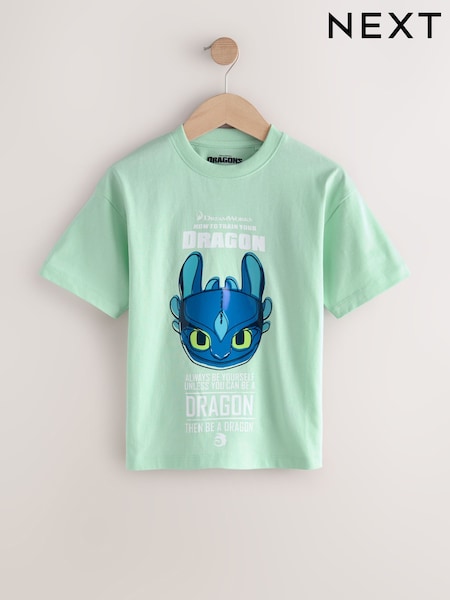 Mint Green How To Train Your Dragon T-Shirt (3-16yrs) (AK0241) | €14 - €18