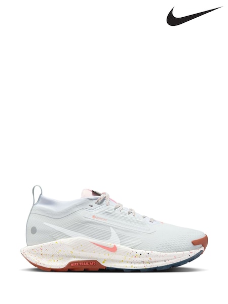 Nike Light Grey Pegasus 5 GORE-TEX Waterproof Trail Running Trainers (AK1304) | €208