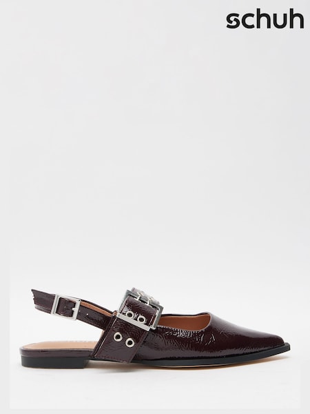 Schuh Burgundy Lorella Point Shoes (AK1861) | AED221