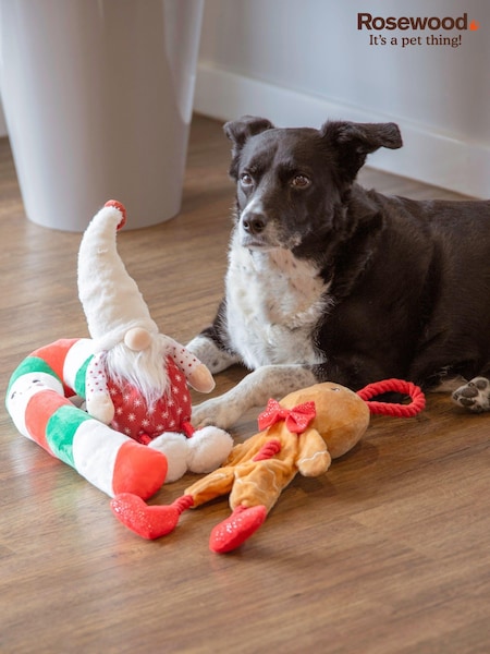 Rosewood Christmas Dog Toys Set of 3 Candy Cane Gingerbread Gonk (AL4280) | €43