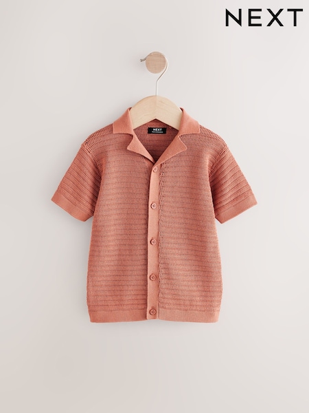 Rust Brown Textured Revere Collar Short Sleeve Knitted 100% Cotton Polo Shirt (3mths-7yrs) (AL5122) | 453 UAH - 535 UAH