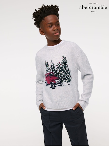 Abercrombie & Fitch Natural Knitted Christmas Jumper (AL7482) | €21 - €22