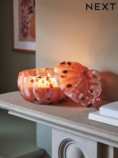 Orange Autumnal Pumpkin Ginger Chai 3 Wick Candle (AM2824) | €26