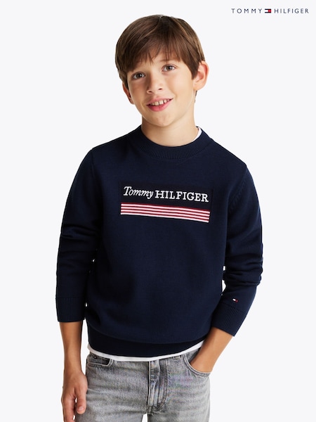 Tommy Hilfiger Blue Regular Fit 1985 Monotype 100% Cotton Jumper (AM5069) | €66